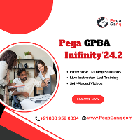 Certified Pega Business Architect Infinity'24.2  Online Training By IT professionals – PegaGang